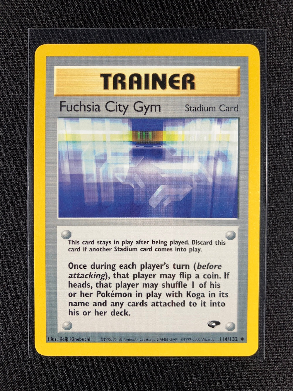 Fuchsia City Gym - Gym Challenge - #114