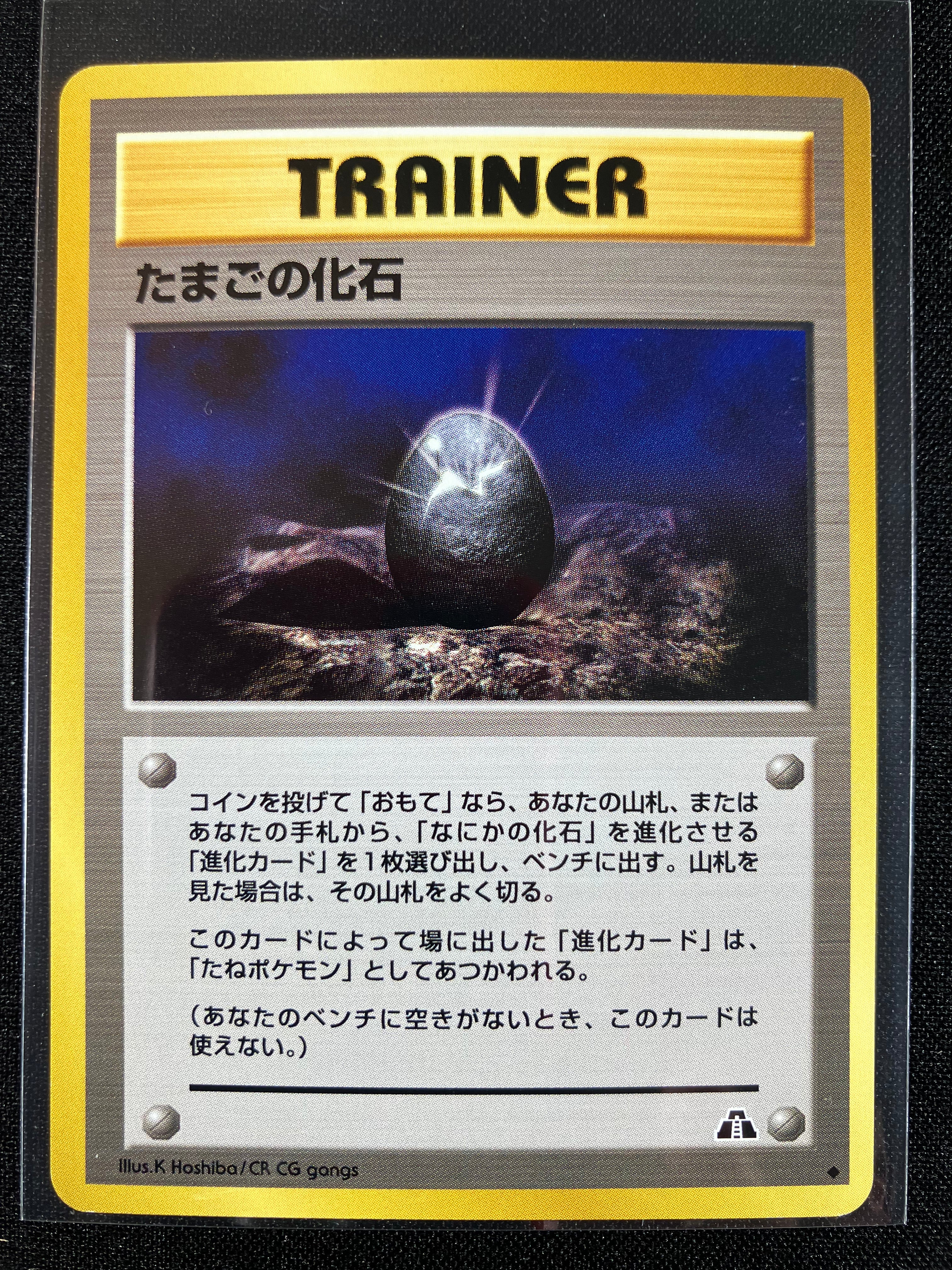 Fossil Egg - Crossing The Ruins...