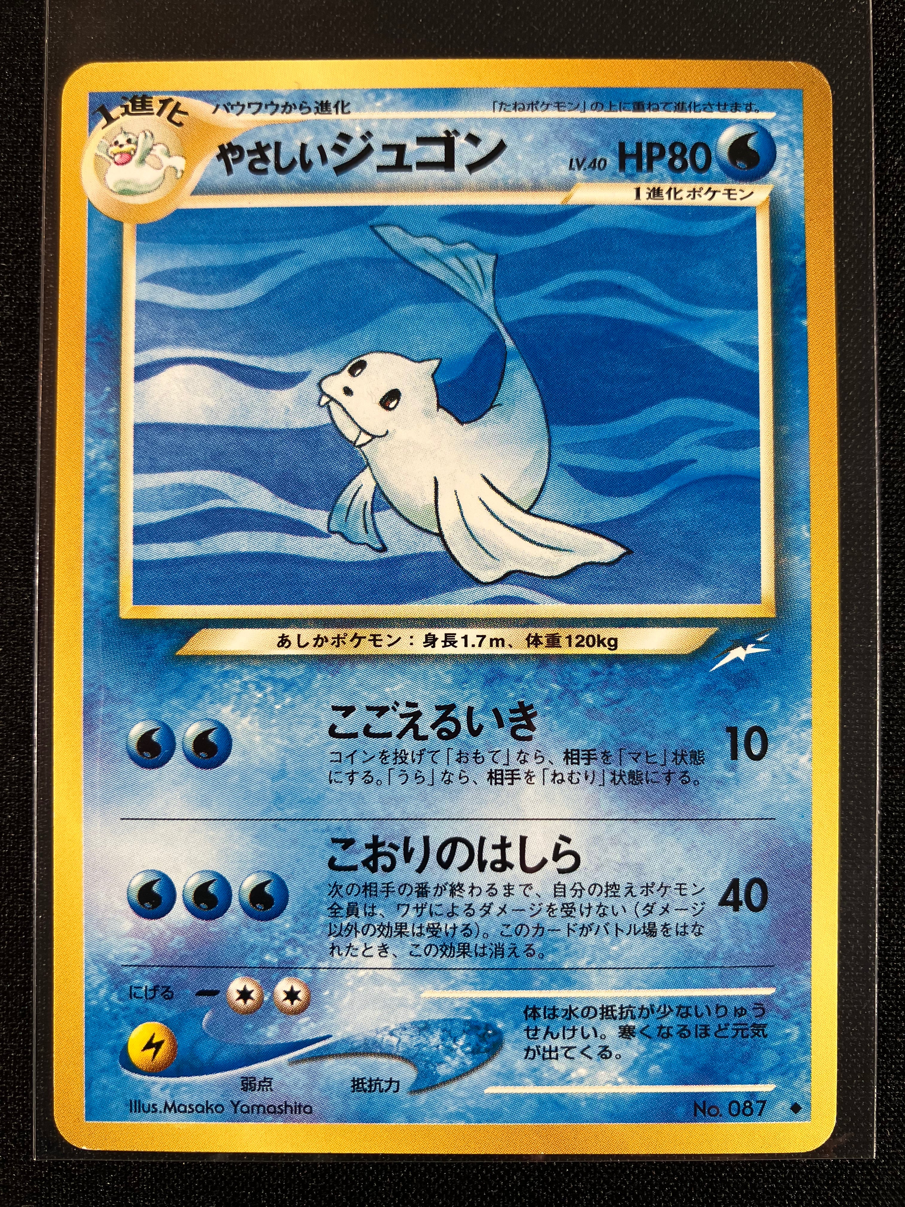Light Dewgong - Darkness, And To Light...